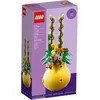 Image de LEGO Botanicals - Le pot de fleurs - 40588 en occasion ou reconditionné