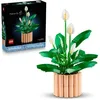 Image de LEGO Botanicals 11504 Les Fleurs de Lune - Set de Plante Artificielle pour Adulte - Déco