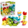 Image de LEGO DUPLO Classic 10479 Boîte Créative Colorée - Jeu Éducatif 18 mois - Motricité Fine