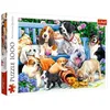 Image de Puzzle 1000 pièces - Trefl - Chiens dans le jardin - Animaux - Blanc - Adulte