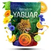 Image de Yerba Mate Orange Thé Fruite Yaguar Naranja Earl Grey 500g