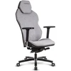 Image de Quersus ICOS 1.1 - Silver Grey