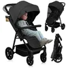 Image de Poussette tout terrain LIONELO Mira - Jusquà 22 kg - Grande surface - Grandes roues - Gris