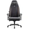 Image de Chaise Gaming Diablo Chairs X-Eye