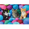 Image de Puzzle 300 pièces : Chatons dans le magasin de laine