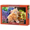 Image de Puzzle Castorland 500 pièces - Chaton roux - Thème Animaux