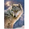 Image de Puzzle 500 pièces : Loup solitaire
