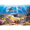 Image de Puzzle 500 pièces - CASTORLAND - Le Monde des Dauphins - Animaux - Adulte - Intérieur