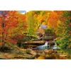Image de Puzzle 1000 pièces : Automne Magique
