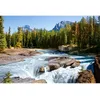 Image de Puzzle 1500 pièces - Rivière Athabasca - CASTORLAND - Paysage et nature - Adulte - 1500-2000 pièces