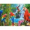 Image de Puzzle 2000 pièces : Rencontre de perroquets