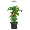 Image de Pot pour pied de tomates - IPOM - Tomato Grower - 12L - Cylindrique - Plastique