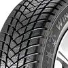 Image de Gt radial WinterPro 2
