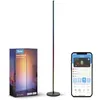 Image de Lampadaire LED - GOVEE - Éclairage Intelligent - Wi-Fi/Bluetooth - Multicolore - Métal