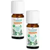 Image de Puressentiel Huile Essentielle Menthe poivrée Bio 10ml Lot de 2