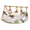 Image de TINY LOVE - Tapis déveil Arche Bois Boho Chic TINY LOVE