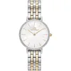 Image de Daniel Wellington DW00100665 Montre Femme Petite Lumine Bezel 5-Link Two-Tone 28mm 3ATM