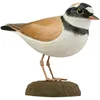 Image de Decobird Petit Gravelot