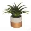 Image de Plante verte artificielle - SILUMEN - Aloe Vera 28cm - Intérieur - Cuivre
