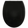 Image de Abattant wc HARRY Noir - Charnière Zinc Spirella
