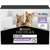 Image de PRO PLAN Kitten HEALTHY START Dinde Sauce Pochons pour chaton 10x85g