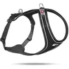 Image de Harnais pour chien - Curli - Belka Comfort - 66-70 cm - Noir - Magnétique