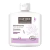 Image de Cattier Shampoing Moelle de Bambou Bio 250ml
