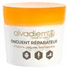 Image de Alvadiem Onguent Réparateur Irritations Gerçures et Fendillements 50ml