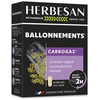 Image de Herbesan Carbogaz 45 gélules