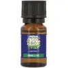 Image de So'Bio Étic Aroma Huile Essentielle Arbre à Thé Bio 15ml