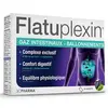Image de 3C Pharma Flatuplexin 16 sachets