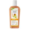 Image de Dermaclay Shampoing Traitant Bio Cheveux Secs et Rêches Argile Jaune 250ml