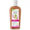 Image de Dermaclay Shampoing traitant Bio Cuir chevelu sensible 250ml