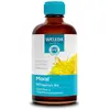 Image de Weleda EPB® Millepertuis Bio - Moral 100 ml