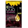 Image de Garnier Olia Coloration 4.62 Carmin Velours