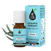 Image de LCA Huile Essentielle de Eucalyptus Globuleux BIO 10 ml