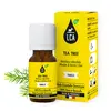 Image de LCA Huile Essentielle de Tea Tree BIO 10 ml