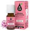 Image de LCA Huile Essentielle de Géranium Rosat d Egypte BIO 10 ml