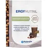 Image de Nutergia Ergynutril Vegan Noisette-Chocolat Protéines Végétales 300g