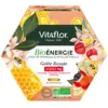 Image de Vitaflor Apiculte Gelée Royale Bio 1000mg Energie+ 20 ampoules