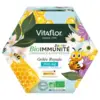 Image de Vitaflor BioImmunité Junior Gelée Royale Bio 700mg 14 Unicadoses