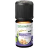 Image de Naturactive Huile Essentielle Bio Gingembre 5ml