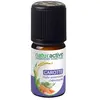 Image de Naturactive Huile Essentielle Carotte 5ml