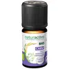 Image de Naturactive Huile Essentielle Bio Carvi 5ml