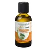 Image de Naturactive Huile Végétale Bio Calophylle 50ml
