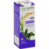 Image de Naturactive Huile Essentielle Bio Encens 5ml