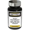 Image de NutriExpert Artrogenol 60 gélules