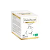 Image de NutriExpert MaxiBust Beauty & Push-up 90 gélules