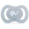 Image de Dodie Sucette Anatomique Single 0 à 2 mois Newborn Coloris Bleu N5