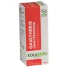 Image de Eolesens Huile essentielle gaultherie (Wintergreen)** 10 ml